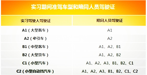 新手司機(jī)-4.jpg